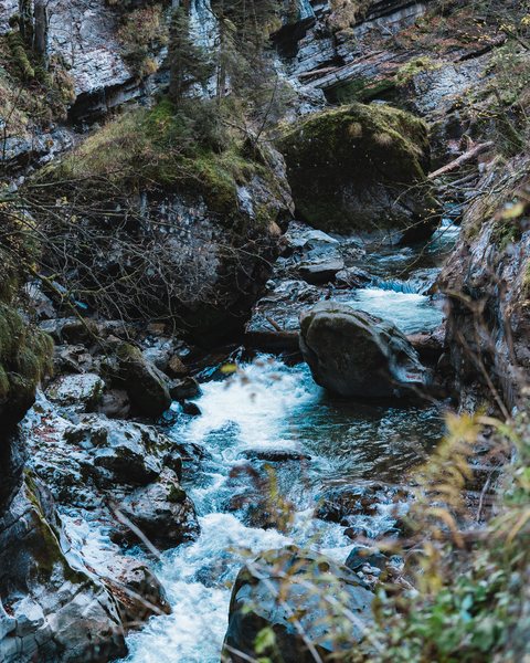 Türkiser Bergbach der Breitach über moosbewachsene Felsen in der Breitachklamm