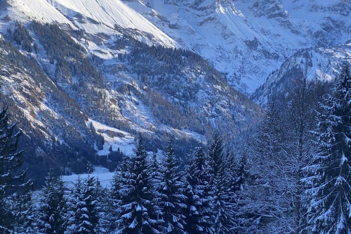 Verschneites Stillachtal an einem klaren Wintertag, Hauptkamm der Allgäuer Alpen mit tiefverschneiten Tannen im Vordergrund