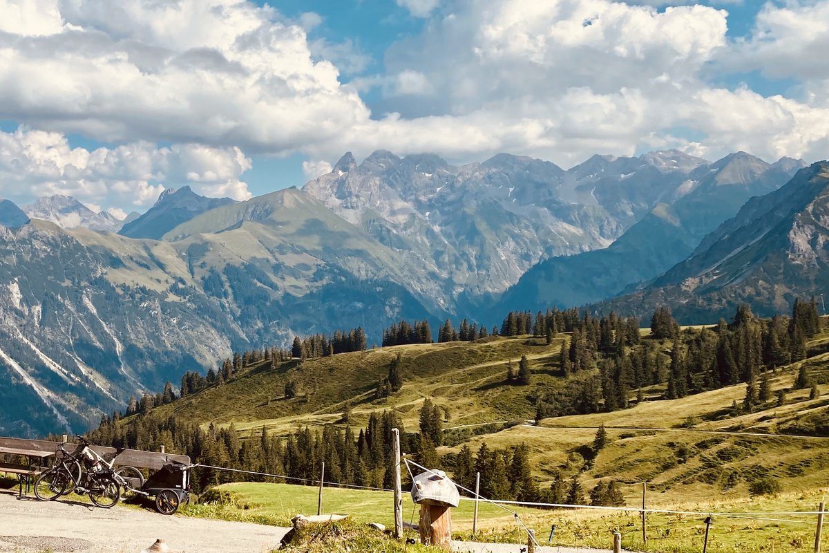 E-bikes with a child trailer at an alpine hut on Schlappoldalm, the Allgäu main ridge in the background