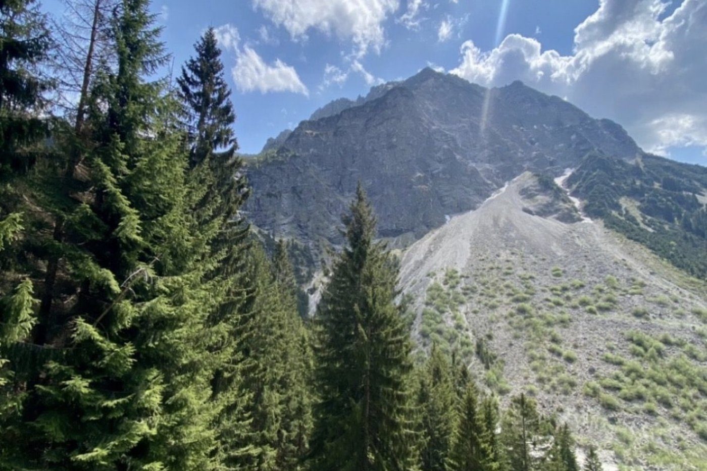 Rugged rock peak in the Rubihorn massif, with firs and dwarf pines in the foreground on a green alpine meadow