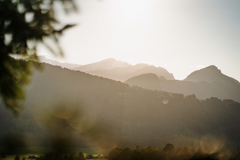 Evening light over the forested ridges of the Söllereck near Oberstdorf